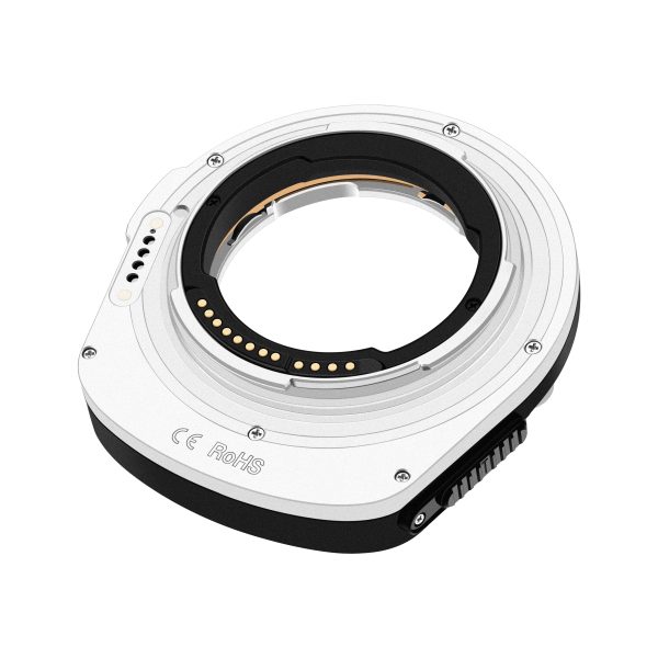 Stacked from 42 images. Method=C (S=8) Megadap Leica M to Canon RF Autofocus Adapter (M2RF)
